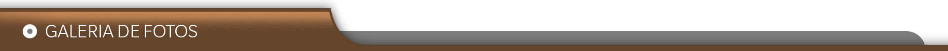 Galeria de Fotos